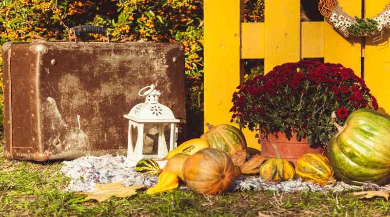 15 uroczych sposobów na udekorowanie balkonu, tarasu i ogrodu dyniami tej jesieni